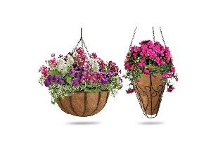 Hanging Baskets