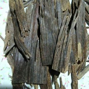 Agarwood