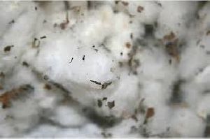 Raw Cotton