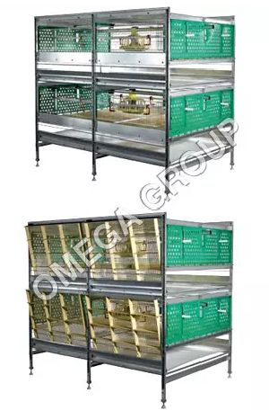 Broiler Battery Cages