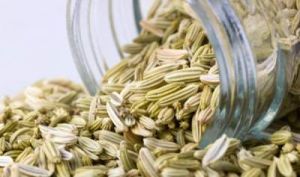 Ajwain Oil