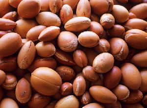 Argan Oil