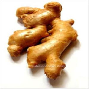 Ginger Oil