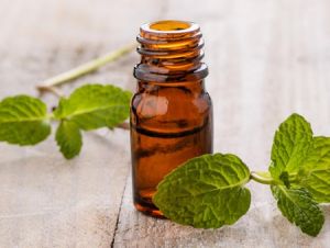 mint essential oil