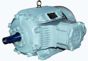 Cast Iron Enclosure Motors