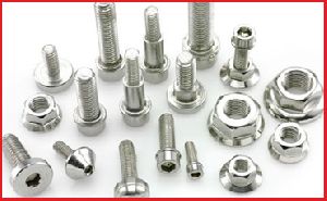 Hastelloy Fastener