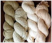 Organic Yarn