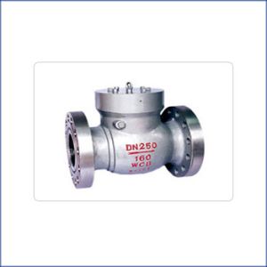 Check Valves