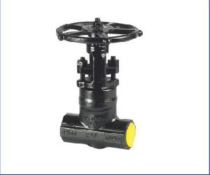 Forged Gate Valve