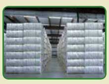 Raw Cotton Bales