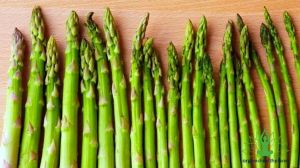 Asparagus