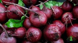 Fresh Beetroot