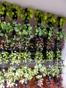 wire ropes Vertical Garden