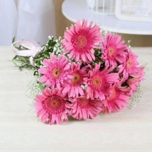 Bunch of 10 Charming Pink Gerberas