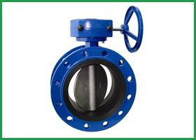 Butterfly Valve