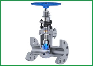 Globe Valve