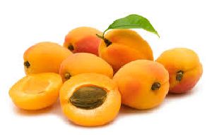 Apricot Oil