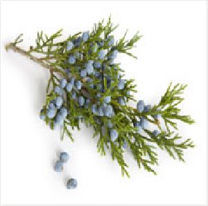 Juniper Berry Oil