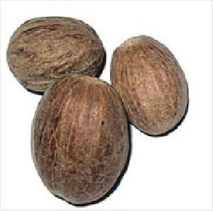 Nutmeg Oleoresin