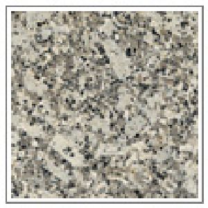 Platinum White Granite