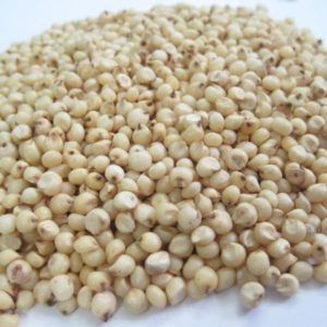 Sorghum Seeds