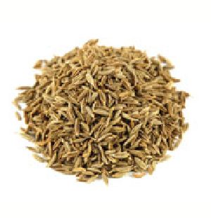 Cumin Seed