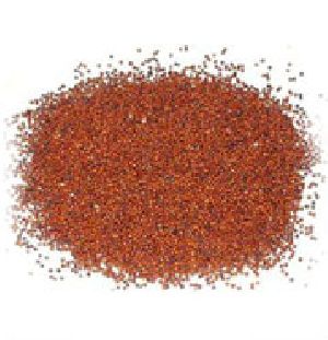 Finger Millet Ragi