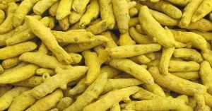 SALEM DOUBLE POLISHED FINGER TURMERIC