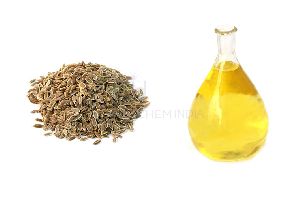 Dil Seed Oil