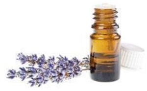 Lavender Oil