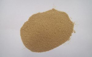 Green Cardamom Powder