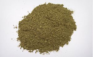 Mint Leaves Powder