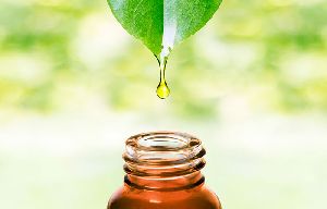 Neem Kernel Oil