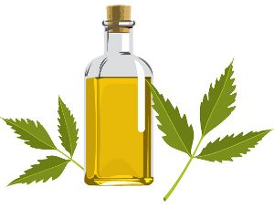 Neem Kernel Oil