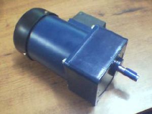 AC IN LINE GEAR MOTOR