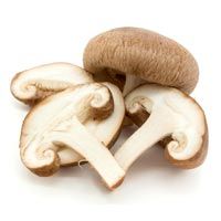 Mushroom wild morales
