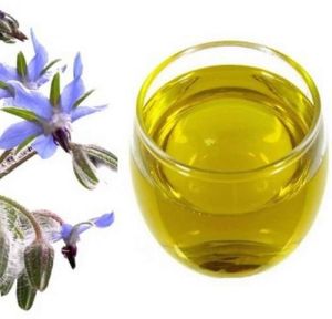 Borage Oil