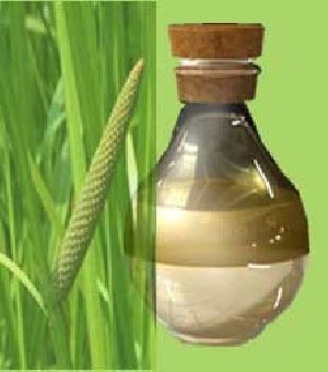 Calamus Oil