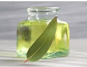 Eucalyptus Oil