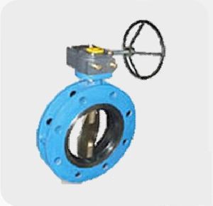 Center Disc Butterfly Valves