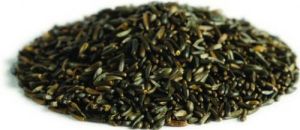 Niger Seeds