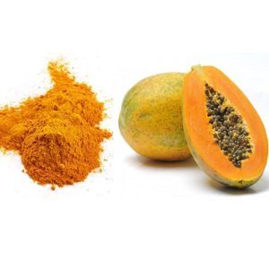 Papaya Powder