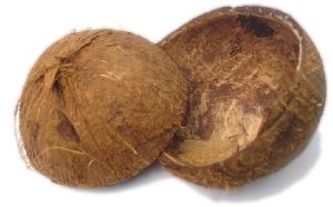 Coconut Shell