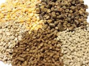 Animal Feed Products