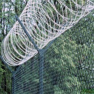 Concertina Wire