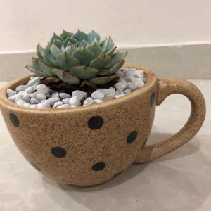 COFFEE MUG CERAMIC PLANTER