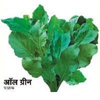 palak seed