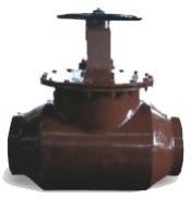 Fabricated Globe Valve