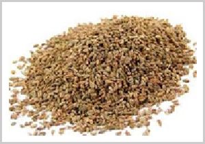 Ajwain Seed