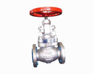 Globe Valve